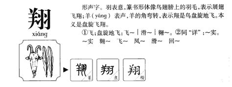 翔的五行|翔的五行